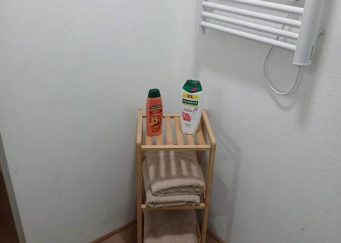 Semesterbostad Maison Jardin Aeroport *